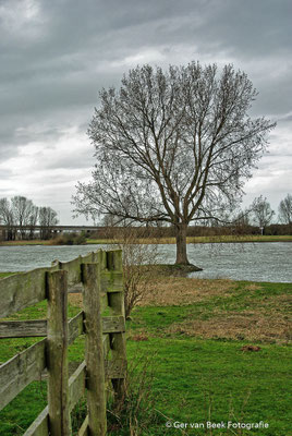 Maas