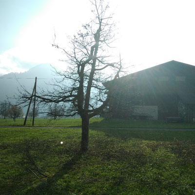 nachher