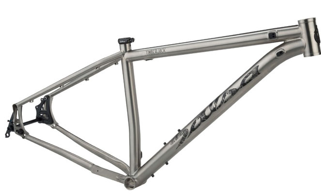 Salsa MTB Timberjack Ti