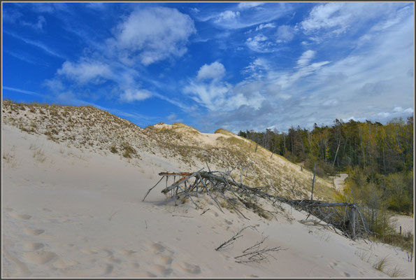 Wanderdünen / Leba in Polen