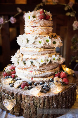 29-westcott-barton-wedding-photography-north-devon-naked-cake