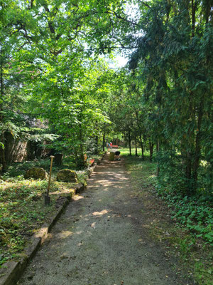 Der bereinigte Weg...