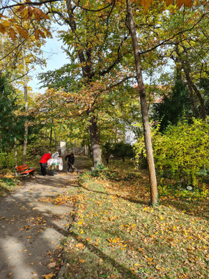 Fleißige Helfer kehren Laub
