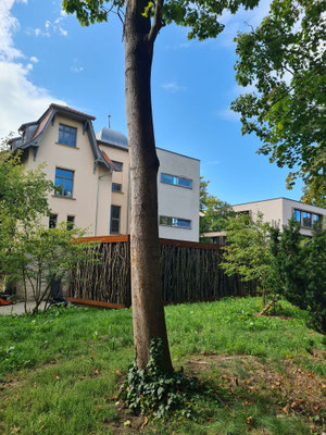 Gesäuberte Fläche