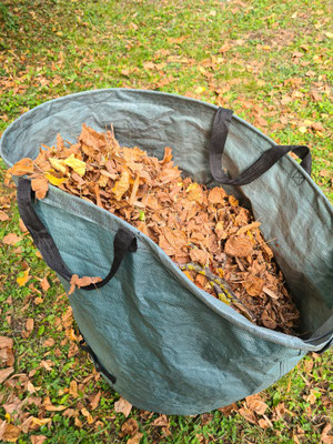 ...Laubsäcke gefüllt.