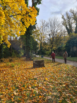 Wege sind übersät mit buntem Laub