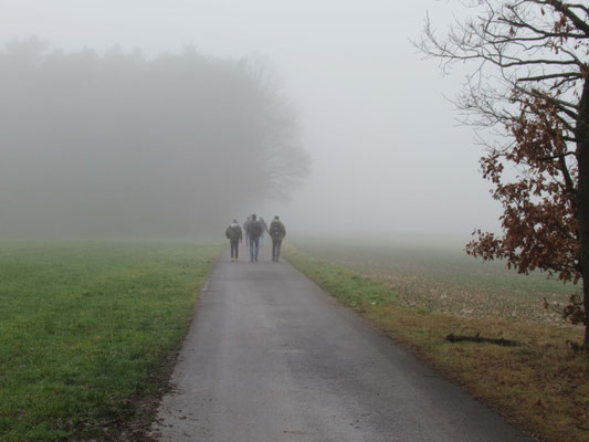 ... Nebel, Nebel, Nebel!