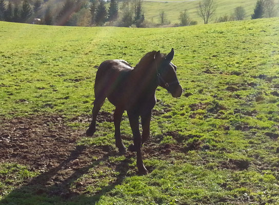Oktober 2012