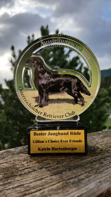 Bester Junghund 2015 