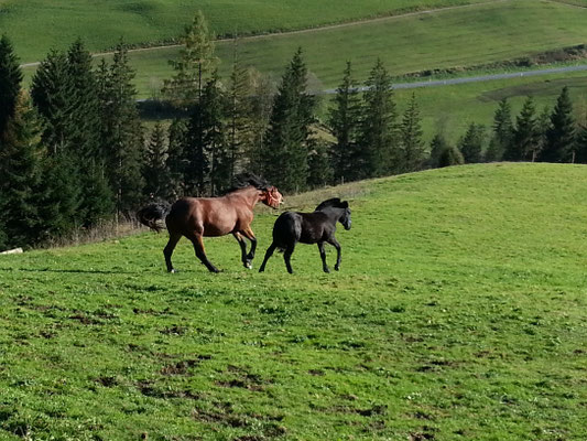 Oktober 2012
