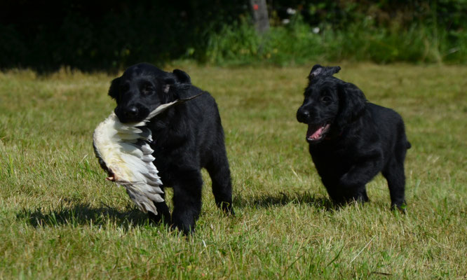 10 Wochen mit Spencer