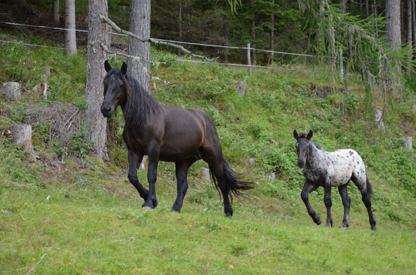 24.07.2017 mit Jack 