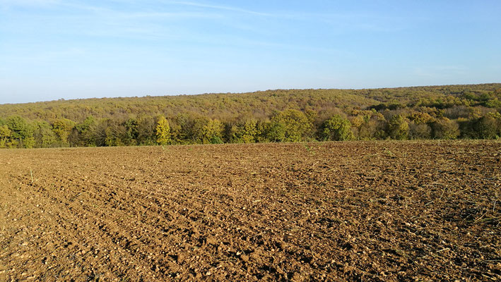 Vue du massif