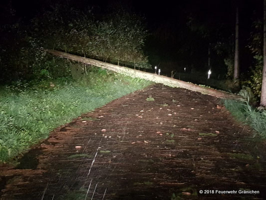 Umgefallener Baum auf die Bifangstrasse richtung Rütihof