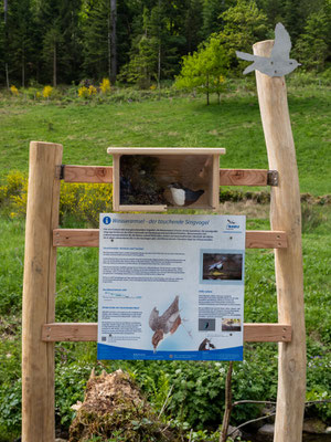 Wasseramsel-Stele auf der Gartenschau. FOTO: M. Pagel/NABU 
