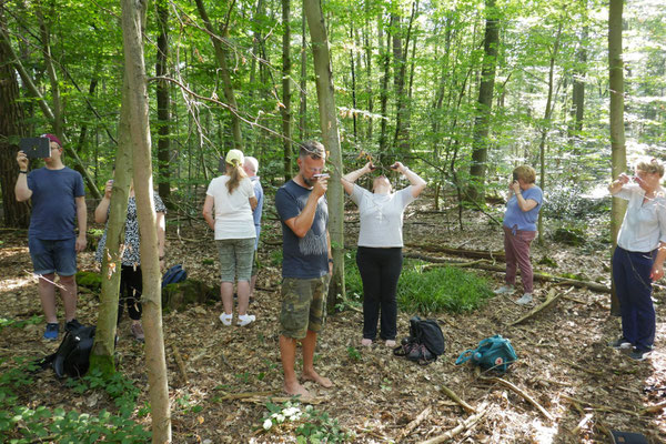 Achtsamkeit im Wald