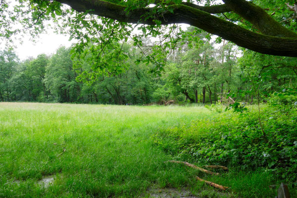 Walderholung