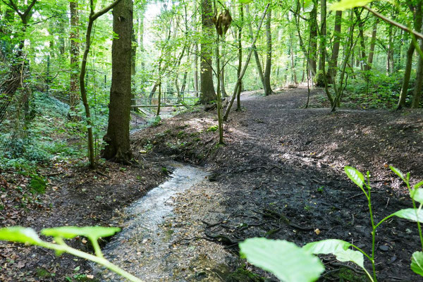 Hitelbach, Bonn