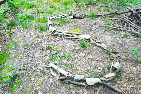 5 Jahre Deutschland geht Waldbaden