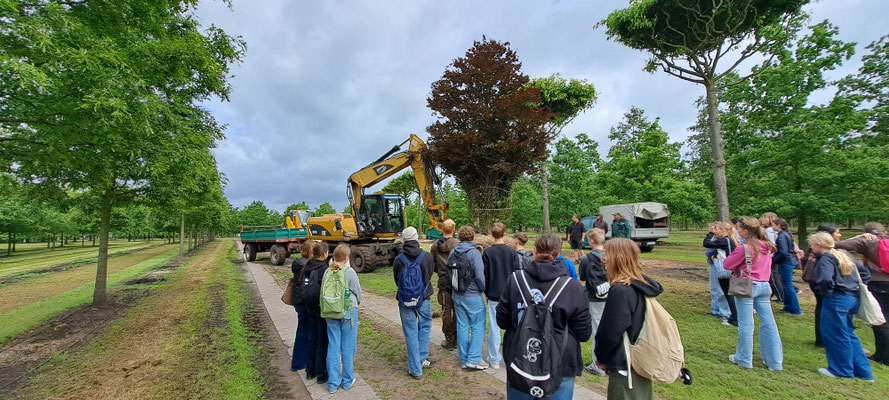 Action pur: Baumschulen von Ehren und Bruns