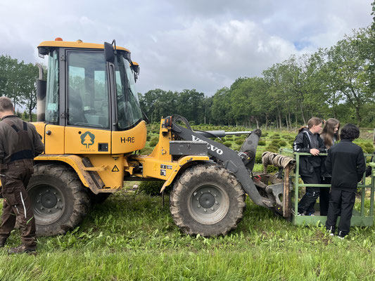Action pur: Baumschulen von Ehren und Bruns