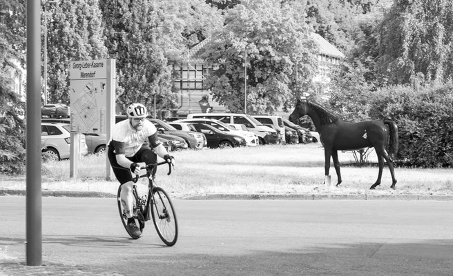 Team Germany Invictus Games 2023 beim Fotoshooting "Gesichter des Lebens"