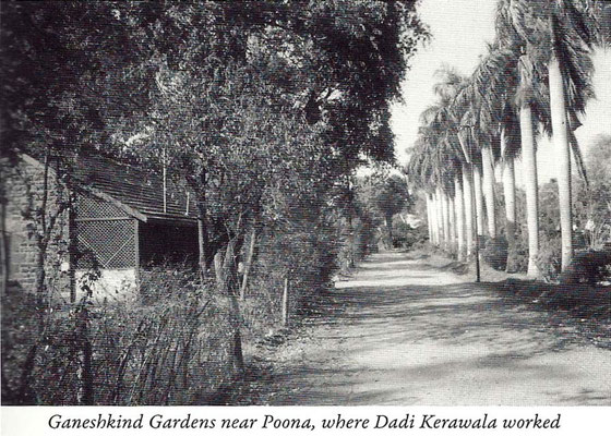 Courtesy of Meher Baba's New Life ; Bhau Kalchuri - ( photos  : Bif Soper )