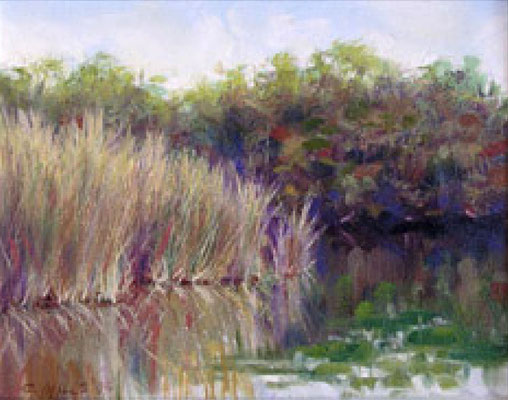 2003-4 ; Lake Grass - Oil - 8"x10" - Courtesy of Dot Lesnik