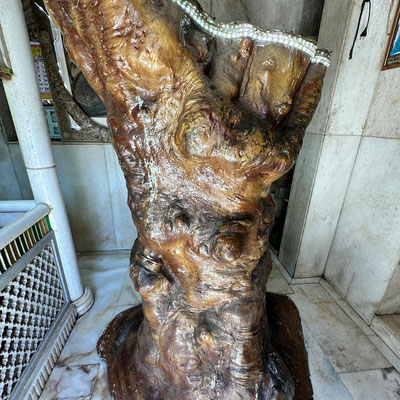 2023 : Babajan's Tomb interior, remnant of the tree she under it. Photo by Rabia Vaughns.