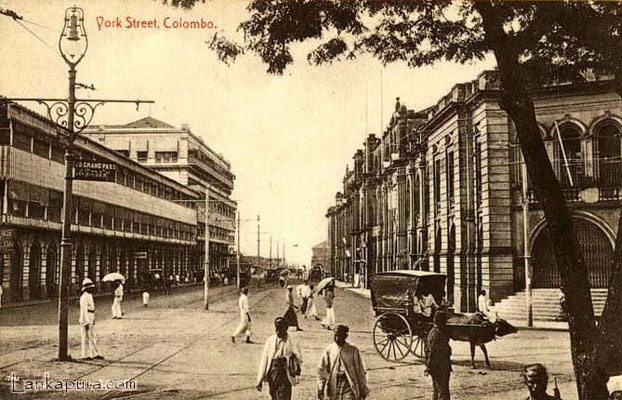 Buffalo cart on York Street 1910