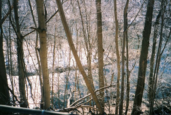 Photo taken by Eric Teperman