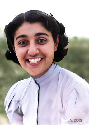 KATIE R. IRANI. Image rendition by Anthony Zois.