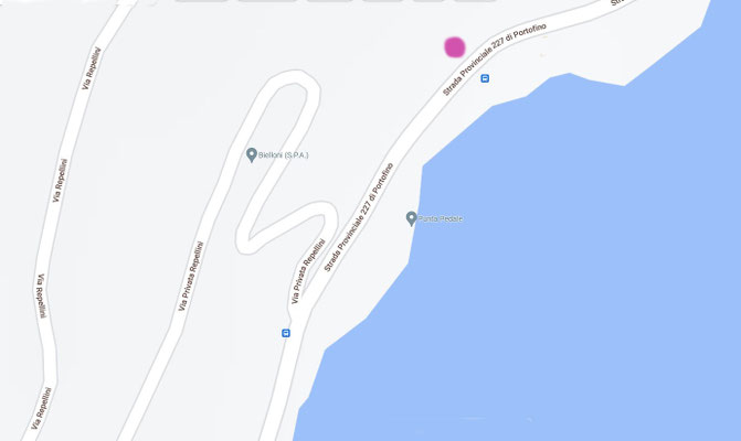 Rose marker indicates the location of the house Pedale - map image