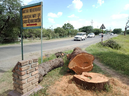 2018 ; Neem tree was cut down to make way for road widening.