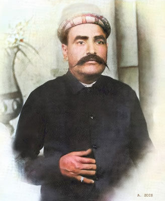 Sheriar M. Irani.  Image rendered by Anthony Zois.