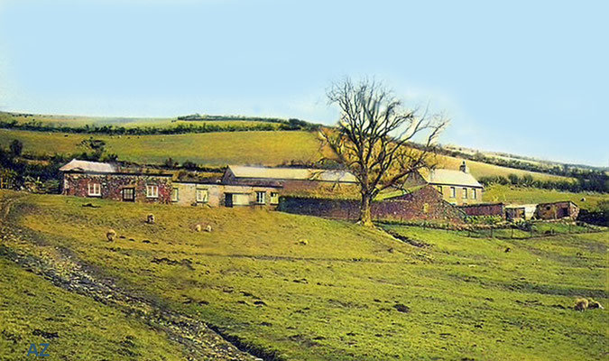 2020 North Challacombe Farm, Devon. Image coloured by Anthony Zois.