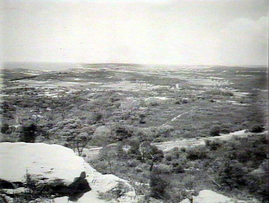 View from Beacon Hill towards Manly during the 1950s