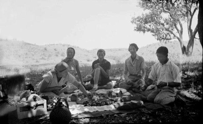 MSI Collection ; India