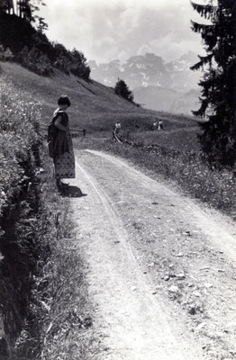 Hedi on the path