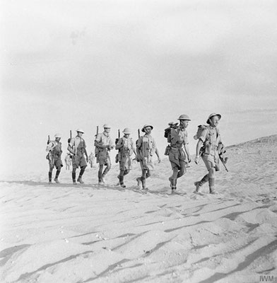 Allied troops of patrol