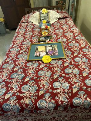 2025 : Goher's bed. Courtesy of Alan Talbot