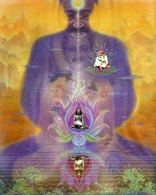 Bradley Williard - "Buddha"