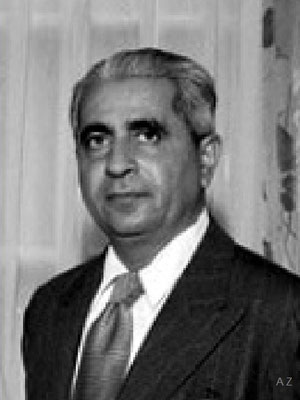 Adi K. Irani