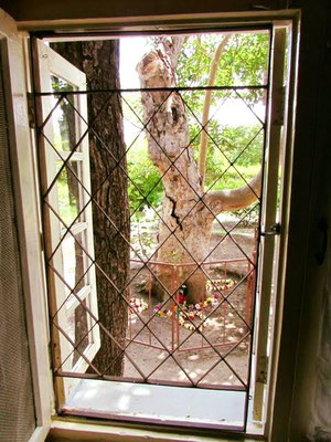 2018 ; view from Mehera's window