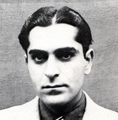 Adi S. Irani ( Jr.)