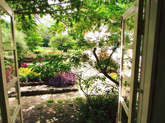 2018 ; the window behind Mani’s bed