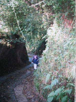 And further along the path - 1995. Photo taken by Eric Tepperman.