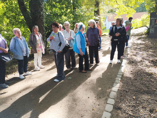 Informationen © Dagmar Stegmann