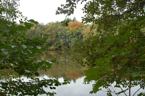 Herbststimmung auf Gut Moorbeck ©Ina Homfeld