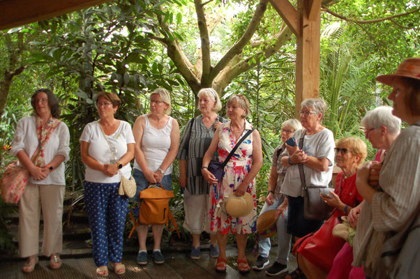 Tropengarten - und dies bei tropischen Außentemperaturen © Ina Homfeld